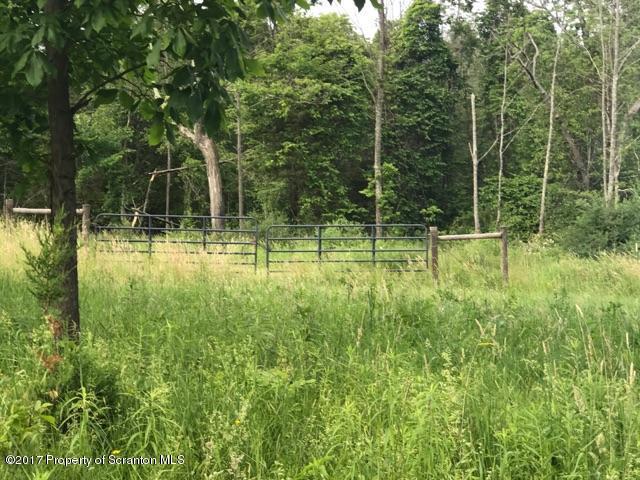 686 State Rte 4002 Laceyville, PA 18623 - Photo 4 of 12 acreage