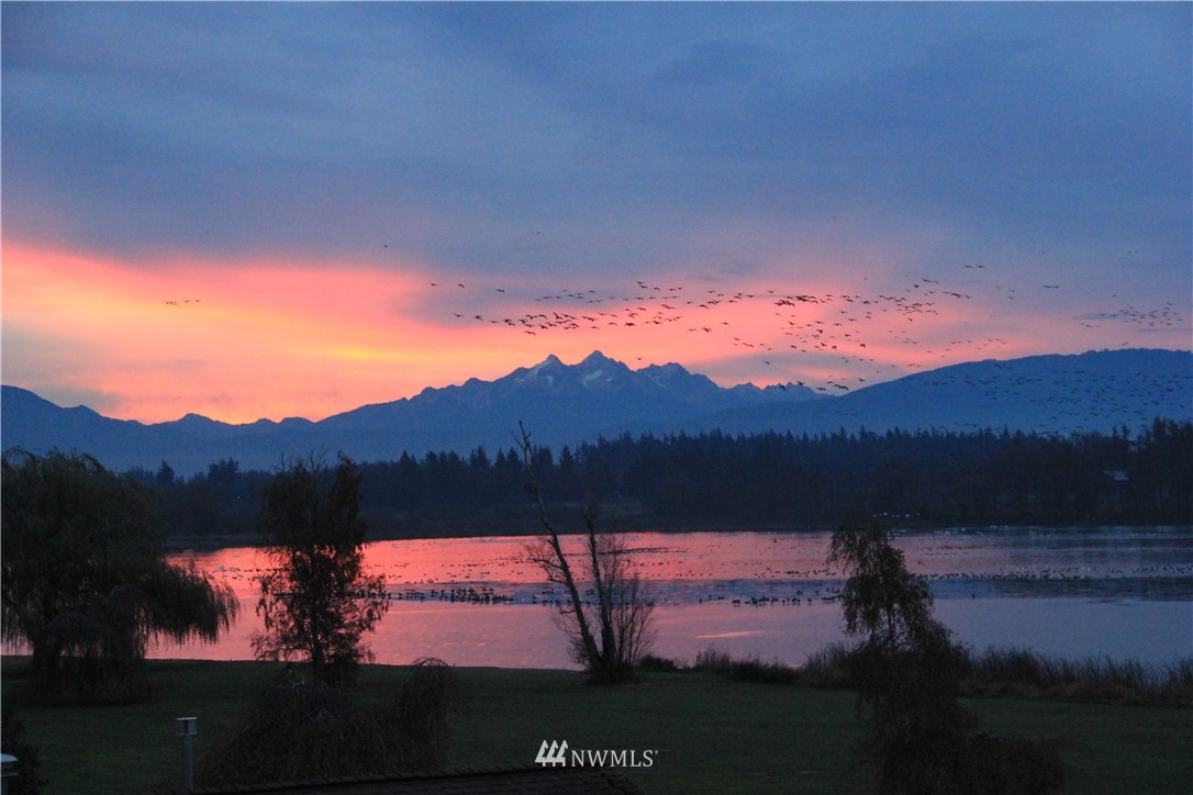 155 East Wiser Lake Road Lynden, WA 98264 - Photo 24 of 25 Gallery Image 24