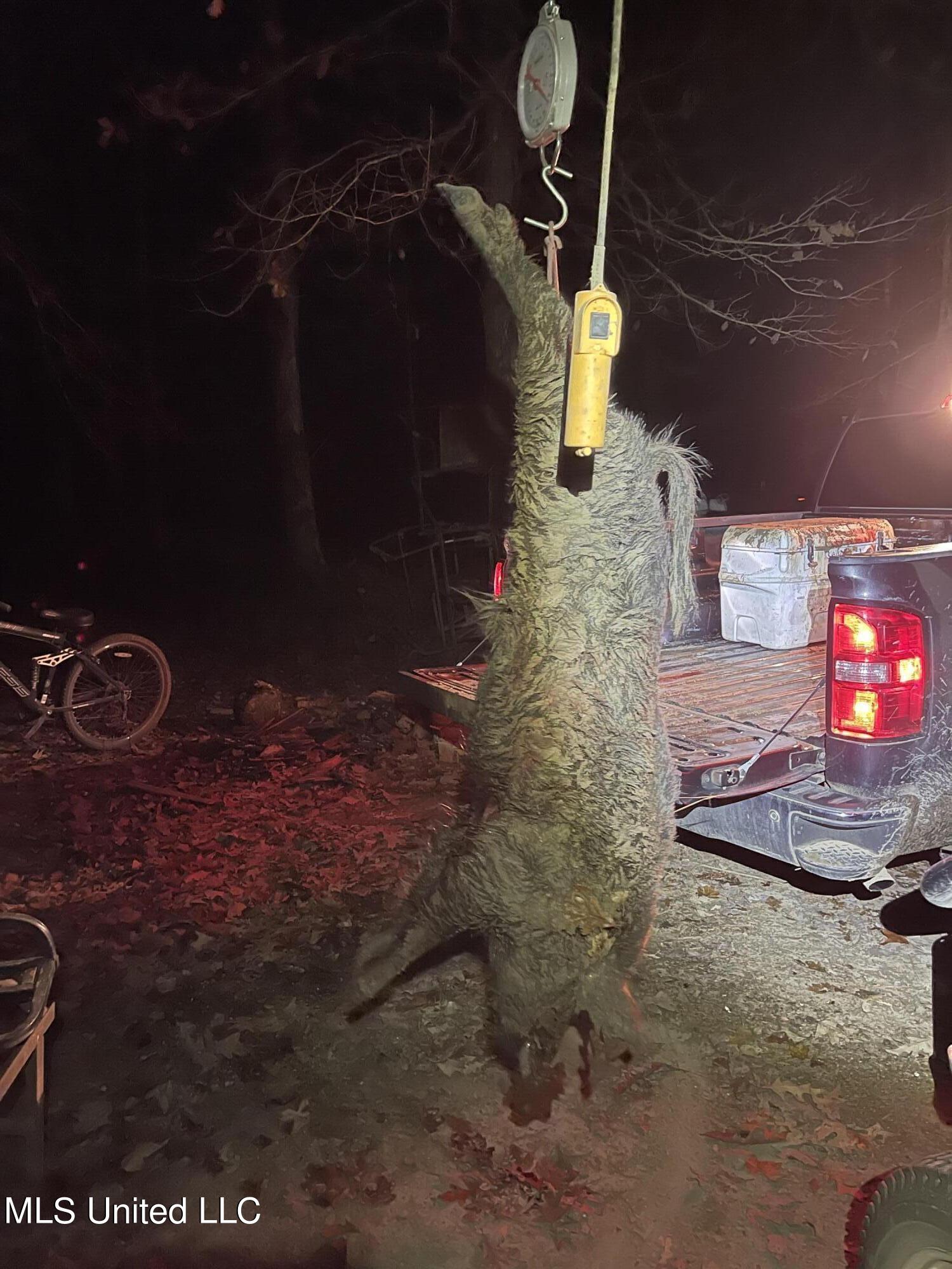 0 Broad Street Georgetown, MS 39078 - Photo 11 of 61 IMG_5291