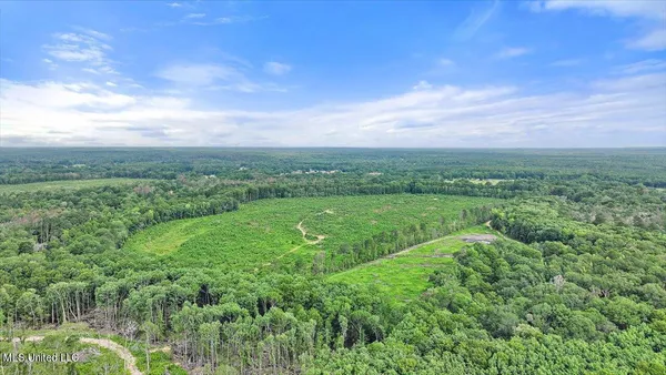 $300,000 | 0 Broad Street, Georgetown, MS 39078