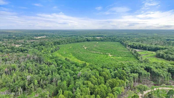$300,000 | 0 Broad Street, Georgetown, MS 39078