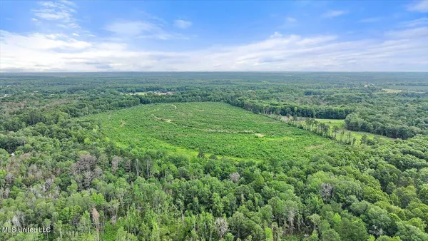 $300,000 | 0 Broad Street, Georgetown, MS 39078