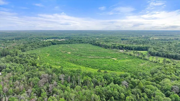 $300,000 | 0 Broad Street, Georgetown, MS 39078