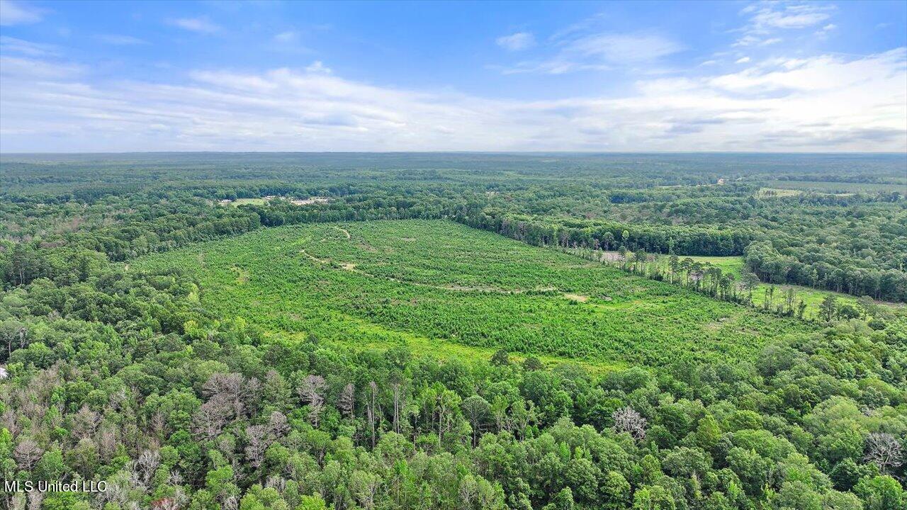0 Broad Street Georgetown, MS 39078 - Photo 17 of 61 16-0 Railroad Rd