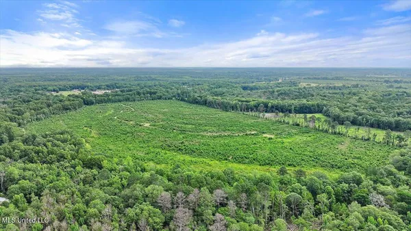 $300,000 | 0 Broad Street, Georgetown, MS 39078