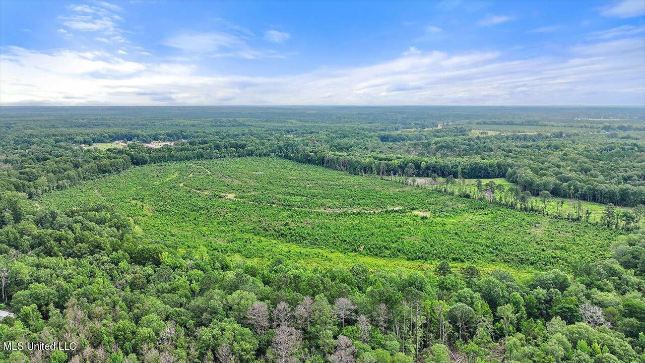 0 Broad Street Georgetown, MS 39078 - Photo 18 of 61 17-0 Railroad Rd