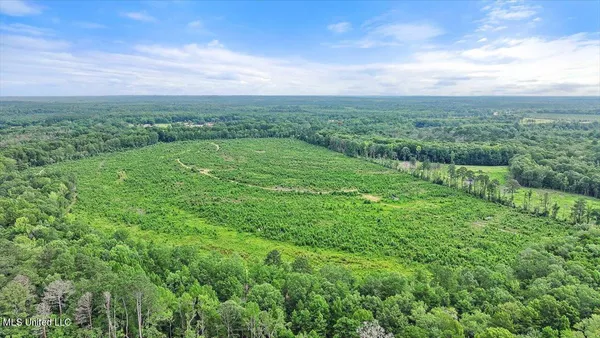 $300,000 | 0 Broad Street, Georgetown, MS 39078