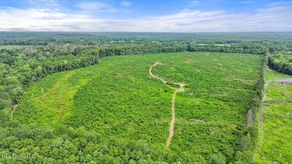 $300,000 | 0 Broad Street, Georgetown, MS 39078