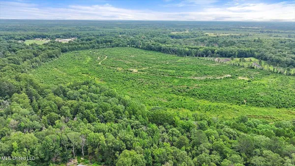 $300,000 | 0 Broad Street, Georgetown, MS 39078
