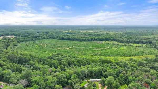 $300,000 | 0 Broad Street, Georgetown, MS 39078
