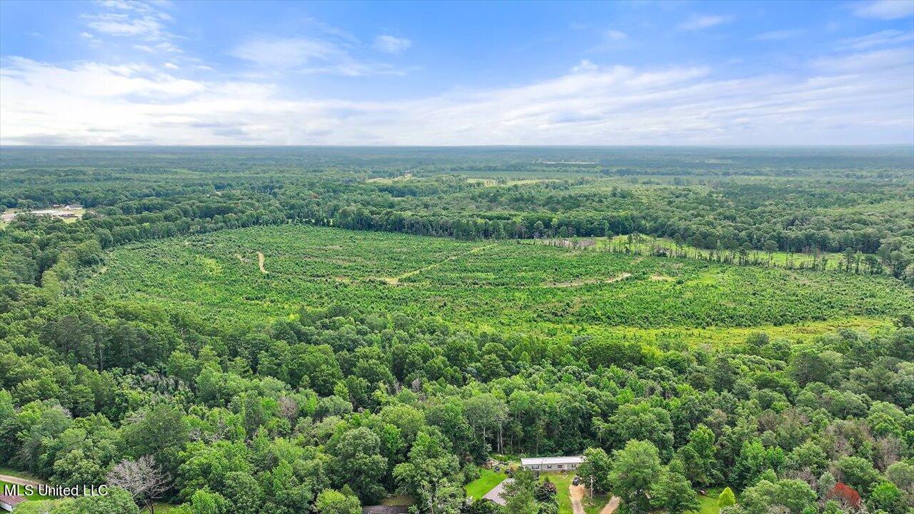 0 Broad Street Georgetown, MS 39078 - Photo 26 of 61 25-0 Railroad Rd
