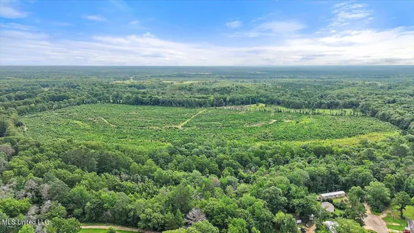 $300,000 | 0 Broad Street, Georgetown, MS 39078