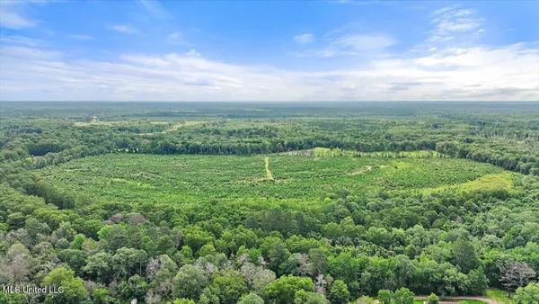 $300,000 | 0 Broad Street, Georgetown, MS 39078