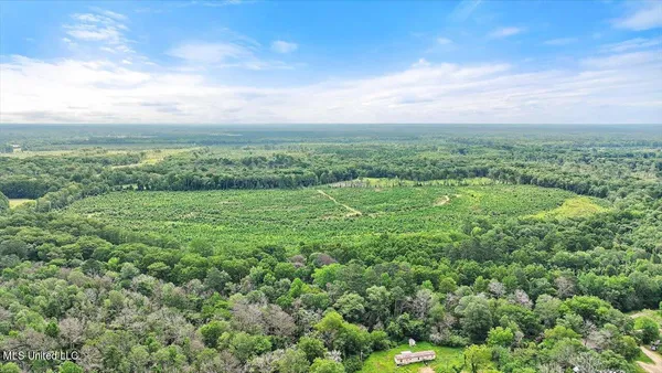 $300,000 | 0 Broad Street, Georgetown, MS 39078