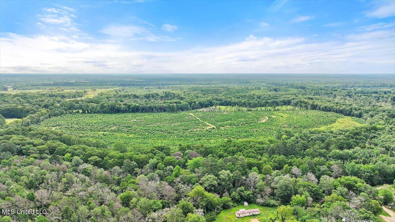 0 Broad Street Georgetown, MS 39078 - Photo 29 of 61 28-0 Railroad Rd