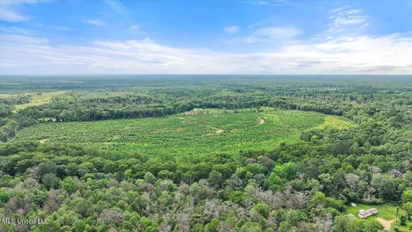 $300,000 | 0 Broad Street, Georgetown, MS 39078