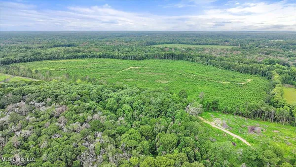 $300,000 | 0 Broad Street, Georgetown, MS 39078