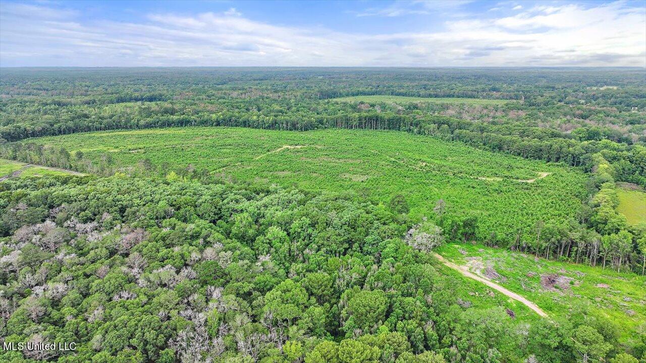 0 Broad Street Georgetown, MS 39078 - Photo 3 of 61 07-0 Railroad Rd