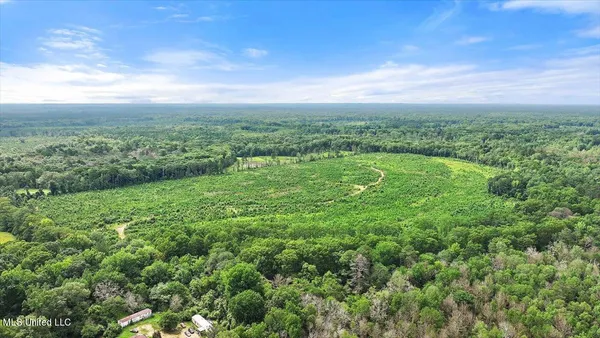 $300,000 | 0 Broad Street, Georgetown, MS 39078