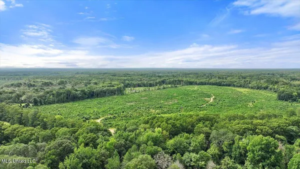 $300,000 | 0 Broad Street, Georgetown, MS 39078