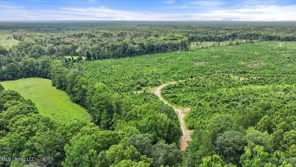 $300,000 | 0 Broad Street, Georgetown, MS 39078