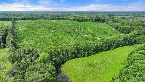 $300,000 | 0 Broad Street, Georgetown, MS 39078