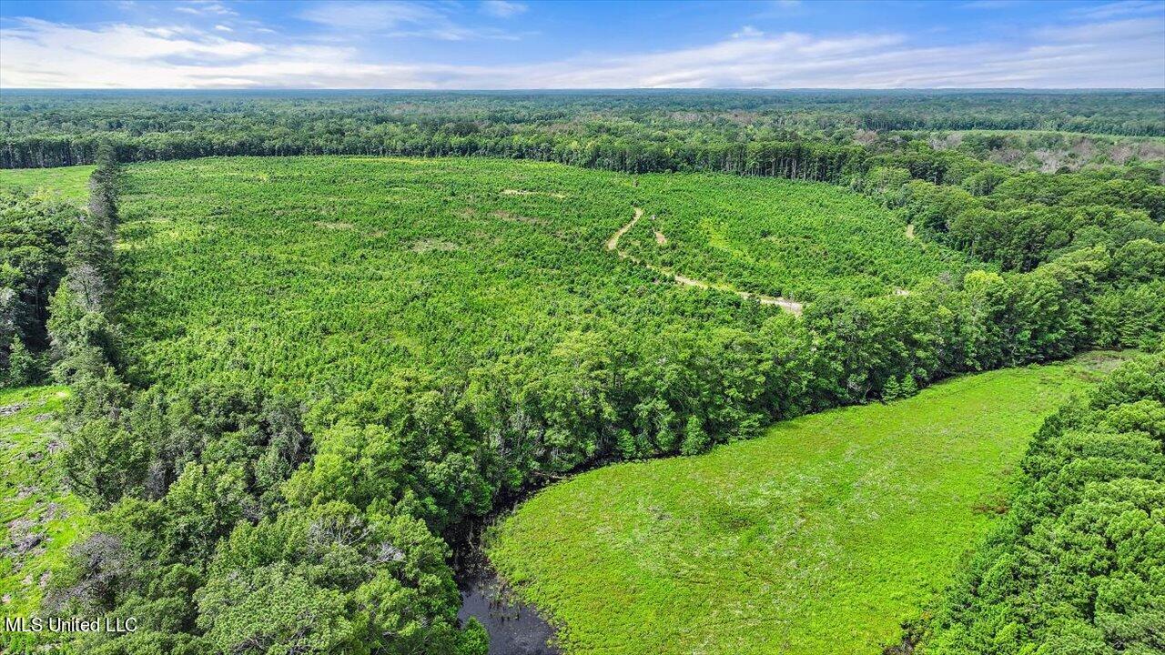 0 Broad Street Georgetown, MS 39078 - Photo 35 of 61 34-0 Railroad Rd