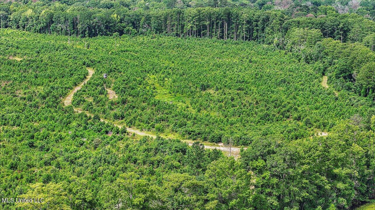 0 Broad Street Georgetown, MS 39078 - Photo 36 of 61 35-0 Railroad Rd