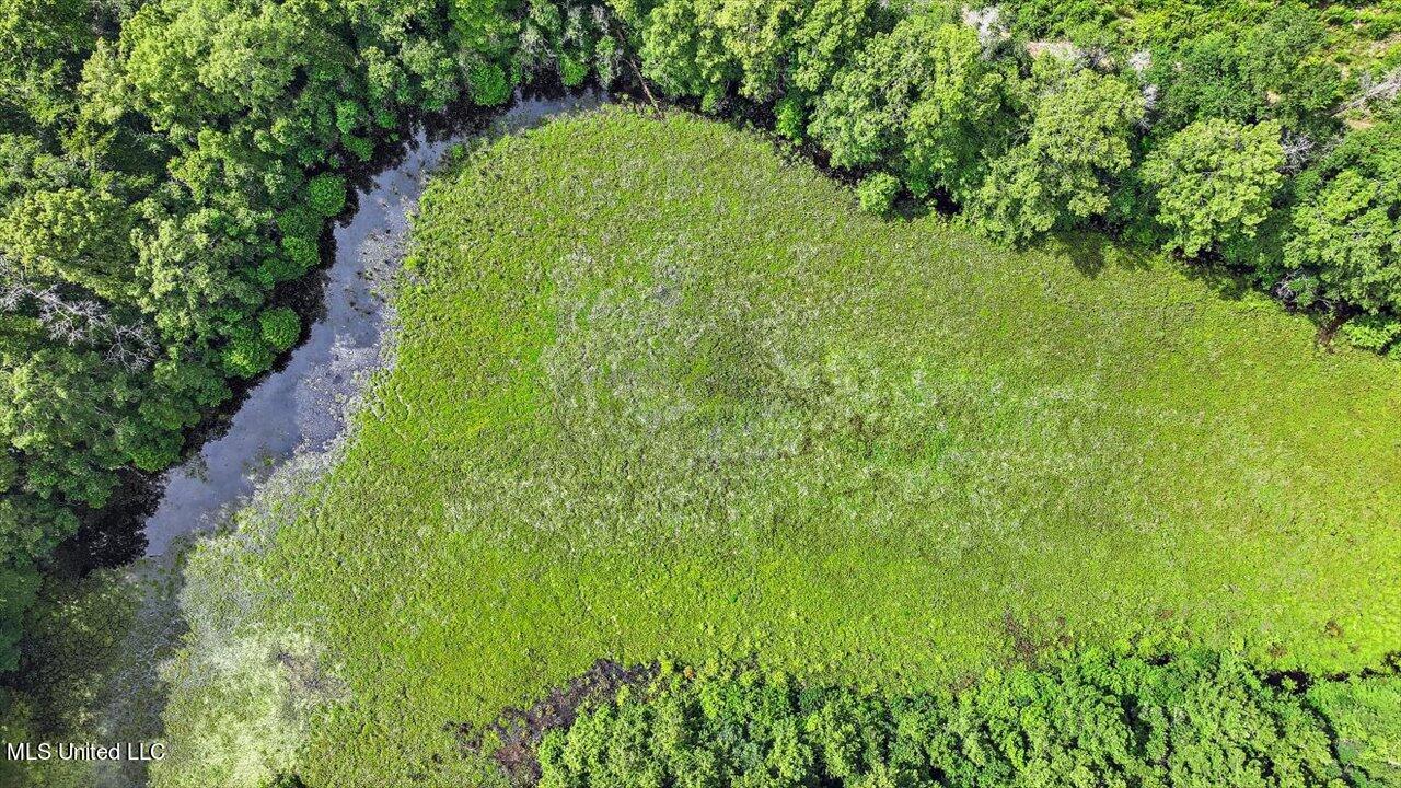 0 Broad Street Georgetown, MS 39078 - Photo 39 of 61 38-0 Railroad Rd