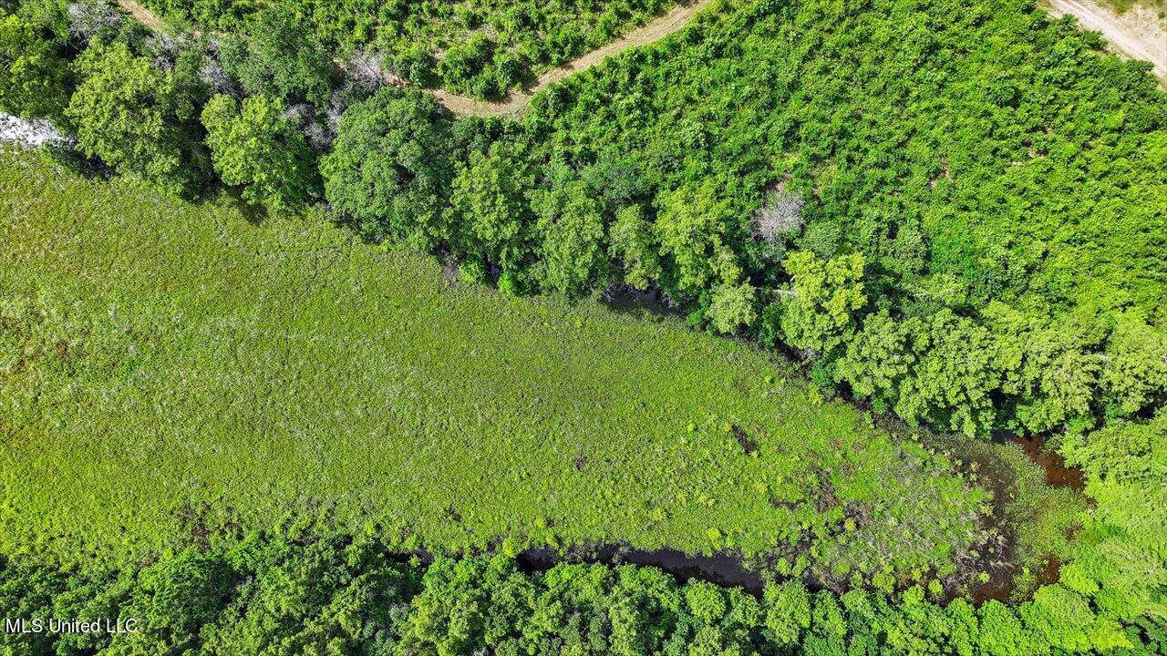 0 Broad Street Georgetown, MS 39078 - Photo 40 of 61 39-0 Railroad Rd