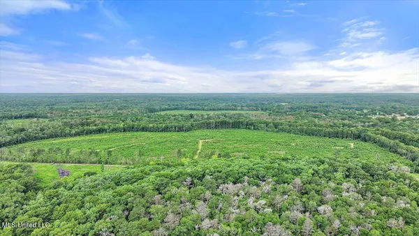 $300,000 | 0 Broad Street, Georgetown, MS 39078