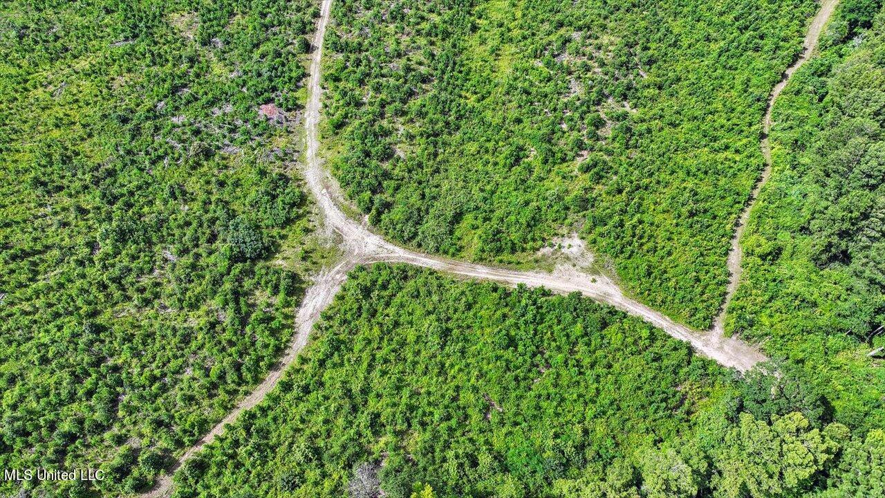 0 Broad Street Georgetown, MS 39078 - Photo 41 of 61 40-0 Railroad Rd