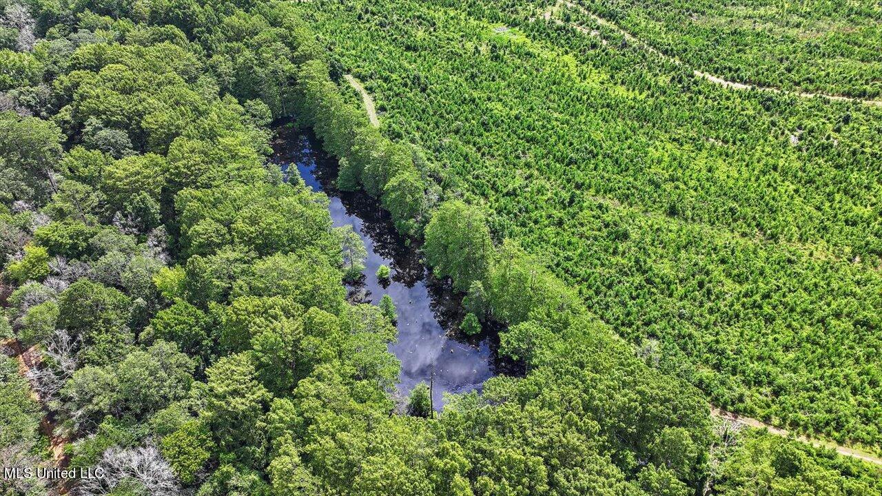 0 Broad Street Georgetown, MS 39078 - Photo 47 of 61 46-0 Railroad Rd