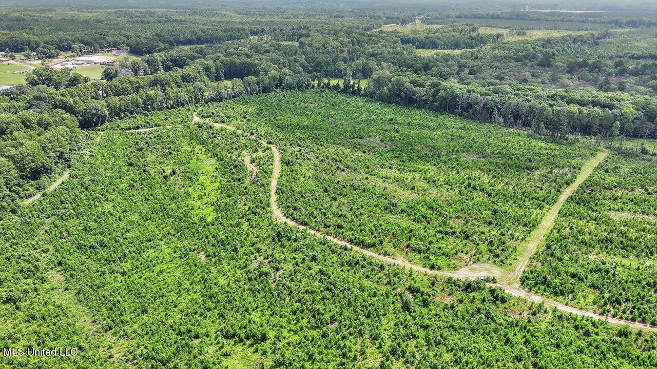 0 Broad Street Georgetown, MS 39078 - Photo 50 of 61 49-0 Railroad Rd