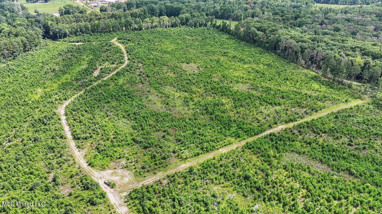 0 Broad Street Georgetown, MS 39078 - Photo 52 of 61 51-0 Railroad Rd