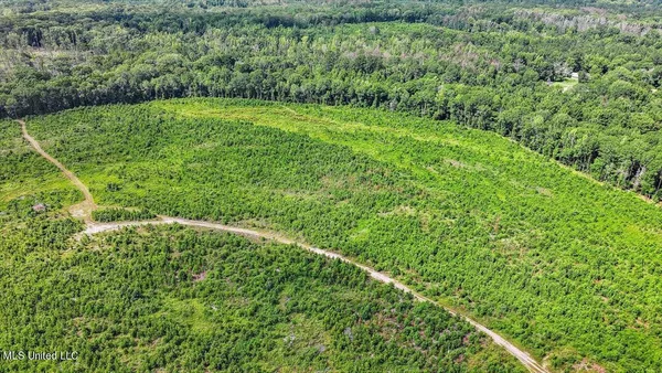 $300,000 | 0 Broad Street, Georgetown, MS 39078