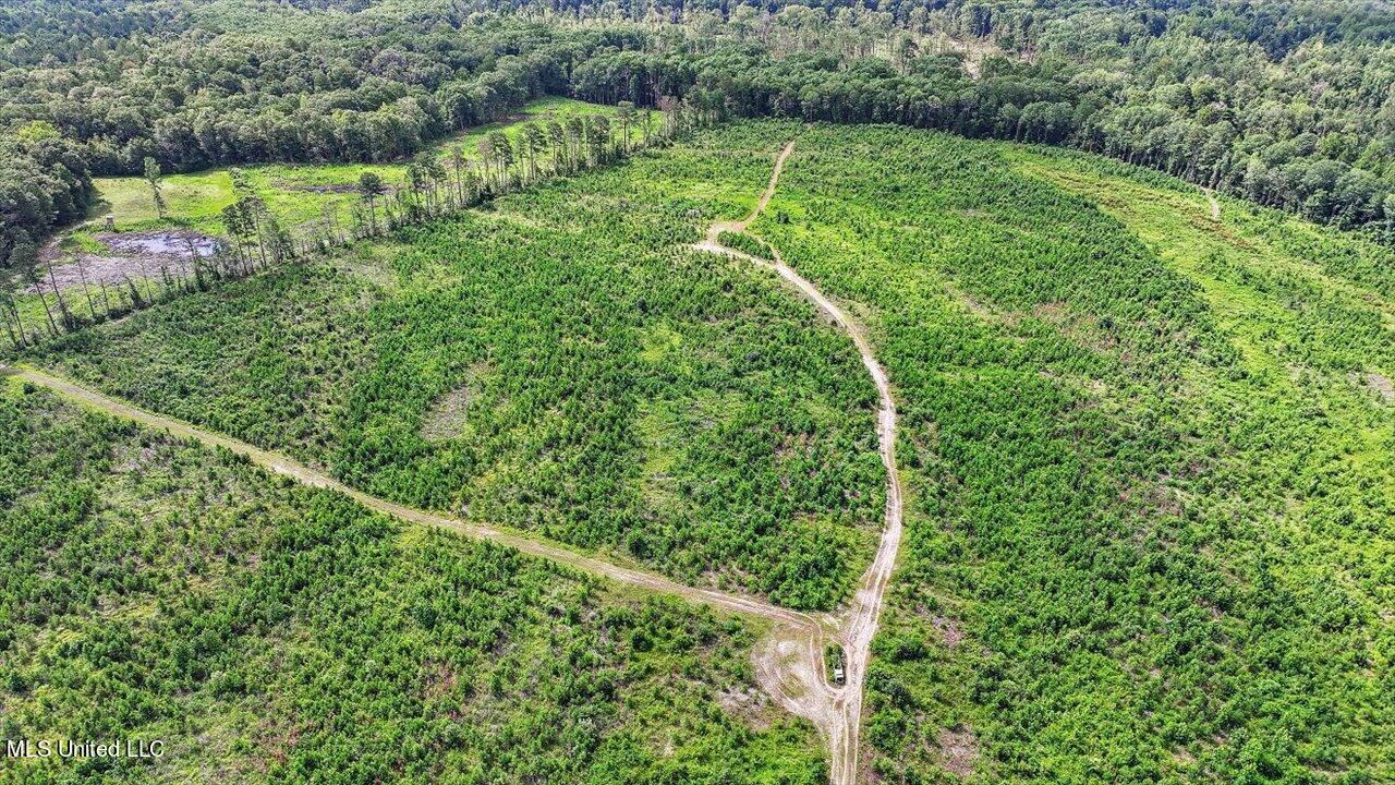 0 Broad Street Georgetown, MS 39078 - Photo 55 of 61 54-0 Railroad Rd