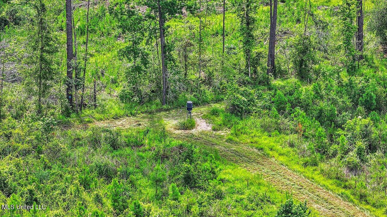 0 Broad Street Georgetown, MS 39078 - Photo 56 of 61 55-0 Railroad Rd