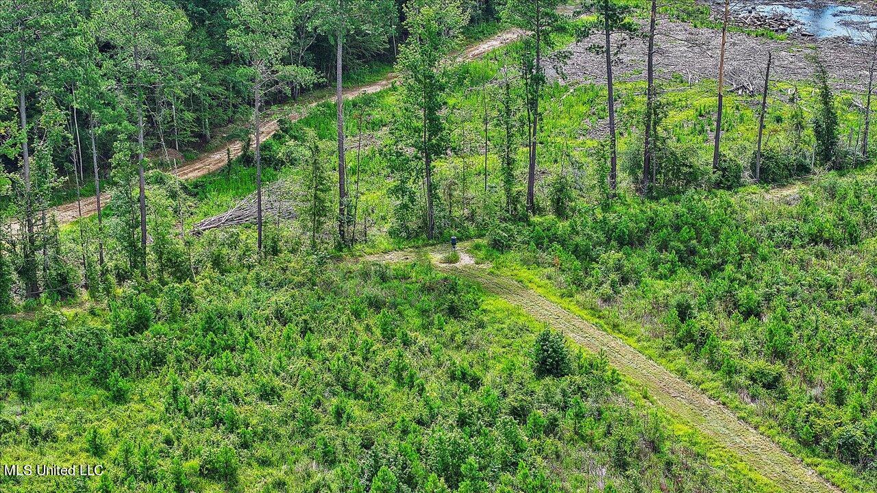 0 Broad Street Georgetown, MS 39078 - Photo 57 of 61 56-0 Railroad Rd