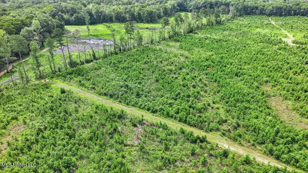 $300,000 | 0 Broad Street, Georgetown, MS 39078
