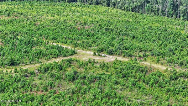 $300,000 | 0 Broad Street, Georgetown, MS 39078