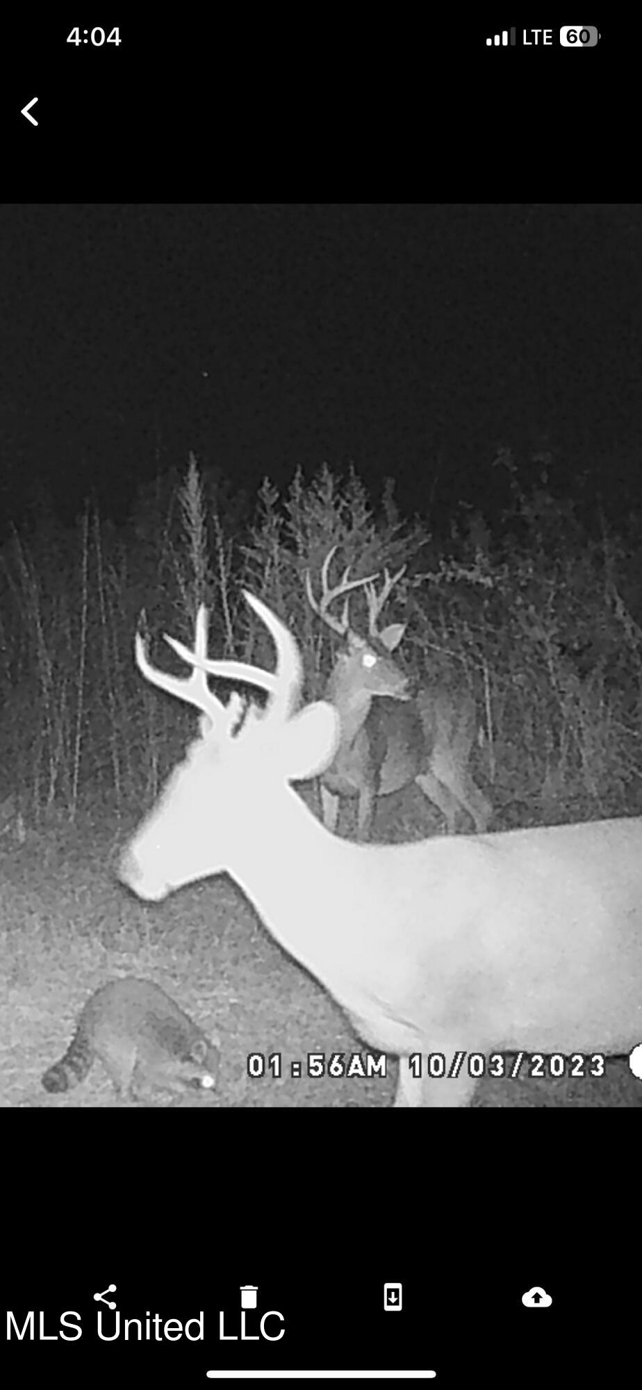 0 Broad Street Georgetown, MS 39078 - Photo 6 of 61 IMG_4912