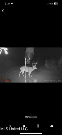 $300,000 | 0 Broad Street, Georgetown, MS 39078