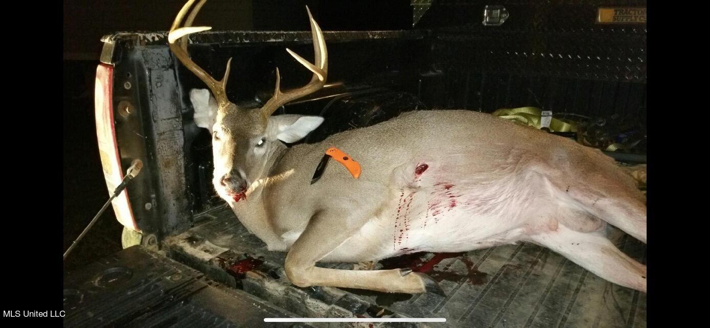 0 Broad Street Georgetown, MS 39078 - Photo 9 of 61 IMG_6464