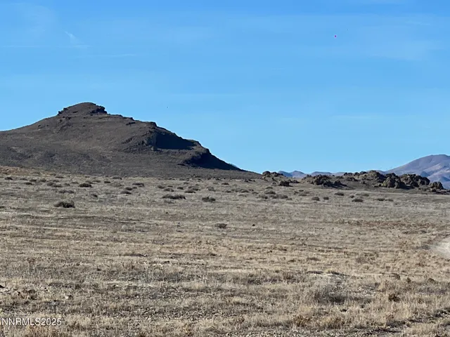 a view of a dry yard