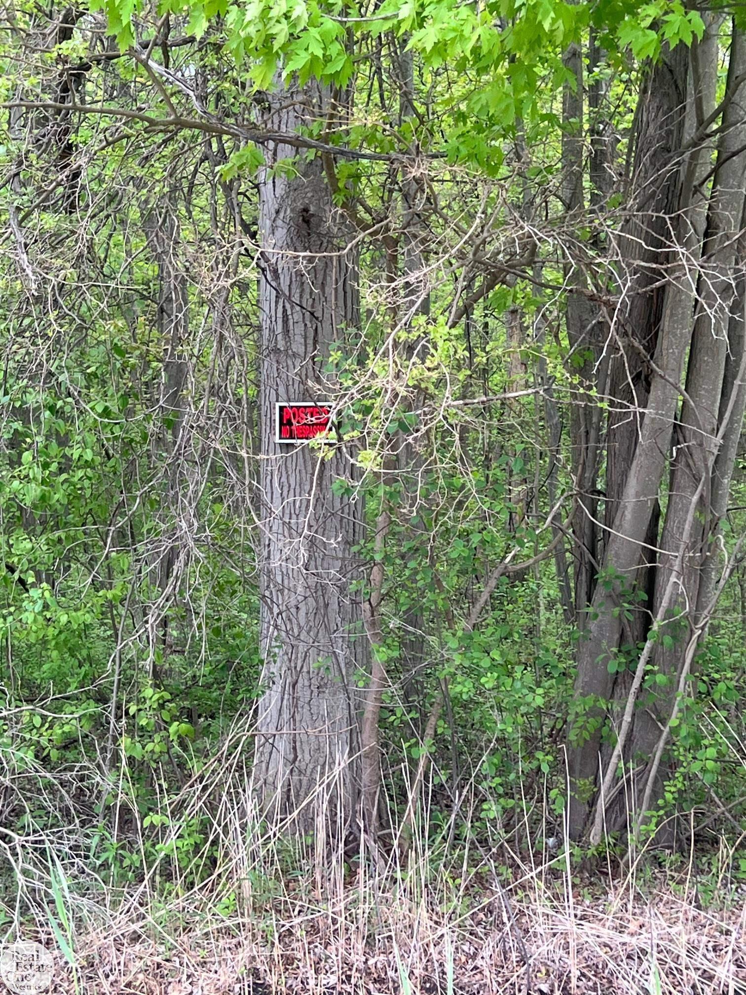 0 Benoit Road Algonac, MI 48001 - Photo 3 of 3