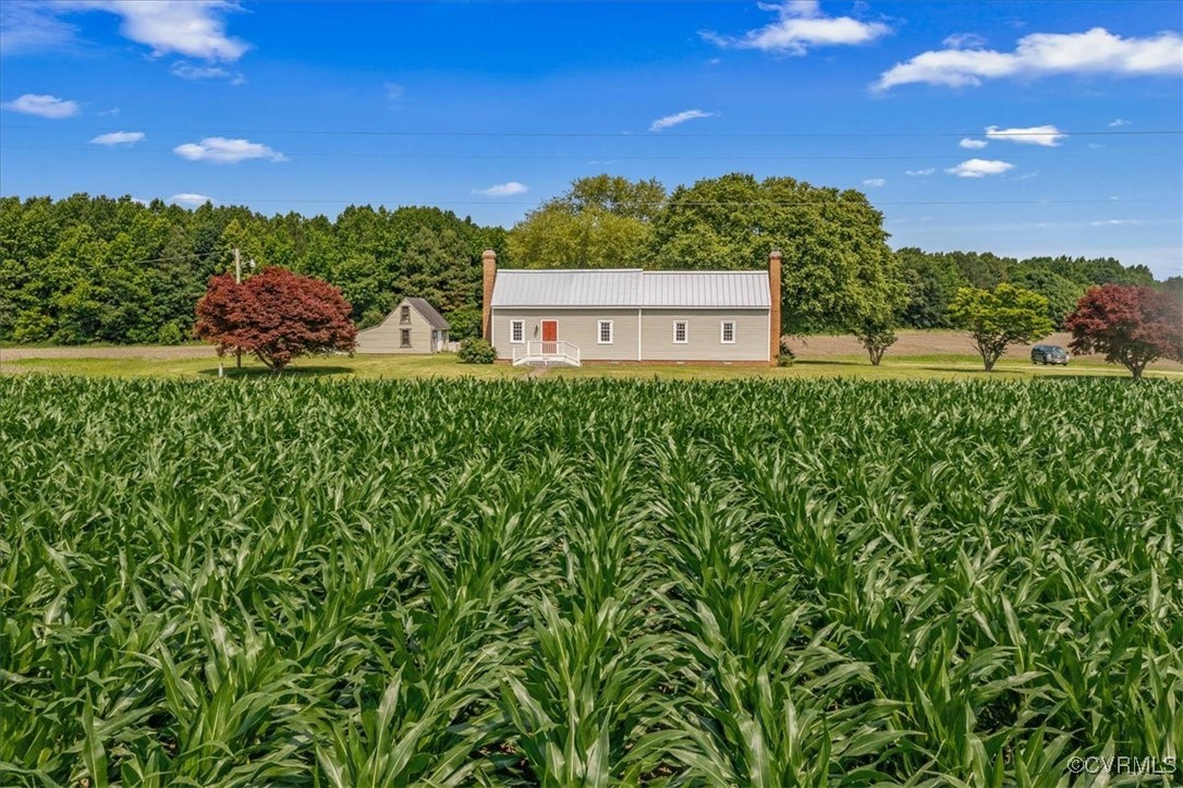 35161 Owens Grove Road Waverly, VA 23890 - Photo 1 of 35 View of yard