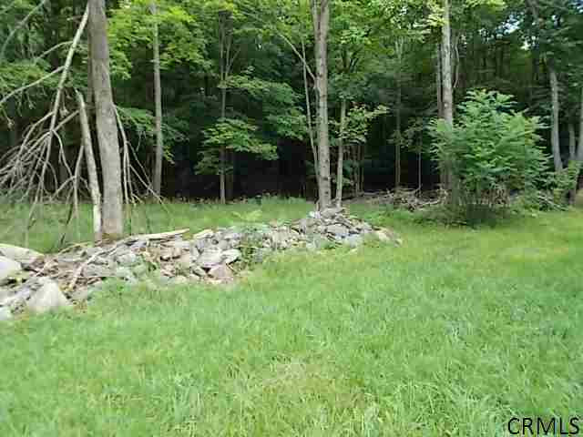 160 Foster Road Grafton, NY 12052 - Photo 22 of 25 Photo 22