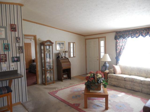 12775 8 Mile Road Northeast Belding, MI 48809 - Photo 4 of 16 Additional Photo