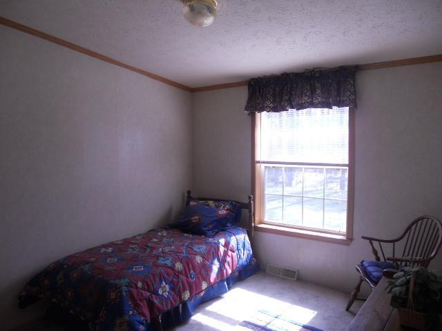 12775 8 Mile Road Northeast Belding, MI 48809 - Photo 10 of 16 Additional Photo